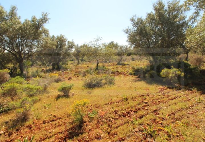Helårsgrund i Silves, Faro, Silves - € 69.000 | Ref: STC2408 - foto 1