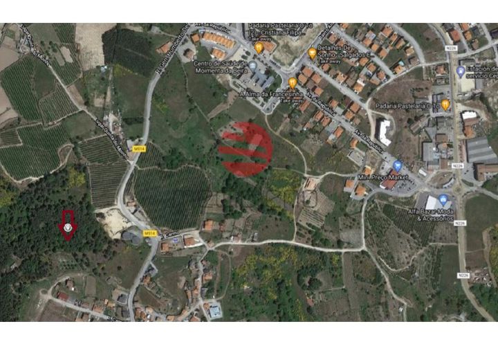 Helårsgrund i Moimenta da Beira, Viseu, Moimenta da Beira - € 22.500 | Ref: 1588 - foto 1