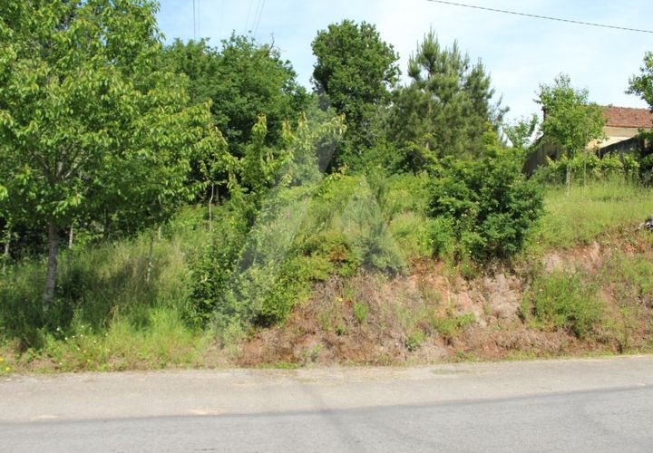 Helårsgrund i Agueda, Aveiro, Agueda - € 25.000 | Ref: 1011188/21 GL - foto 1