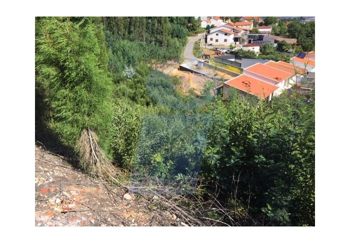 Helårsgrund i Anadia, Aveiro, Anadia - € 35.000 | Ref: PAR_666 - foto 1