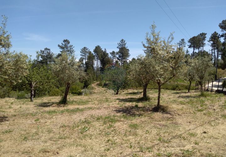 Helårsgrund i Viseu, Viseu, Viseu - € 85.000 | Ref: 1853/V - foto 1