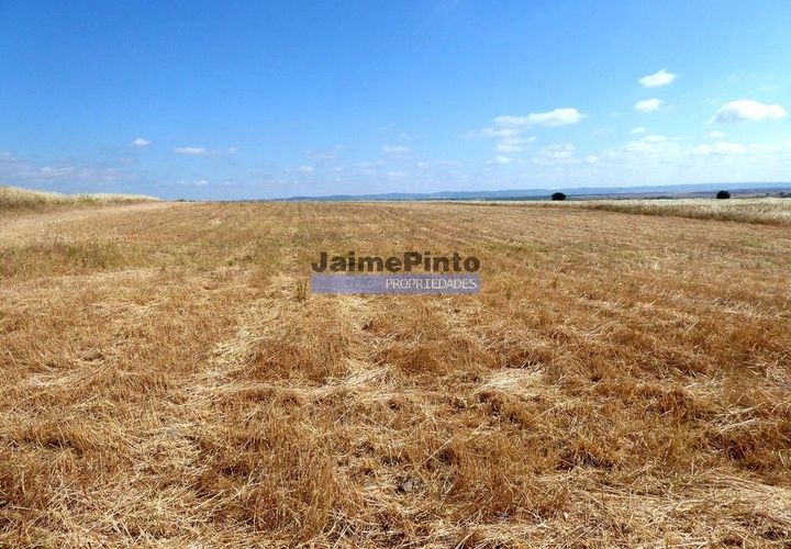 Helårsgrund i Beja, Beja, Beja - € 855.000 | Ref: 8710_T - foto 1