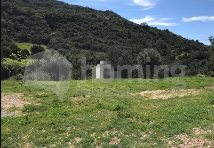 Helårsgrund i Conceicao e Estoi, Faro, Conceicao e Estoi - € 80.000 | Ref: TER_737 (2) - foto 1