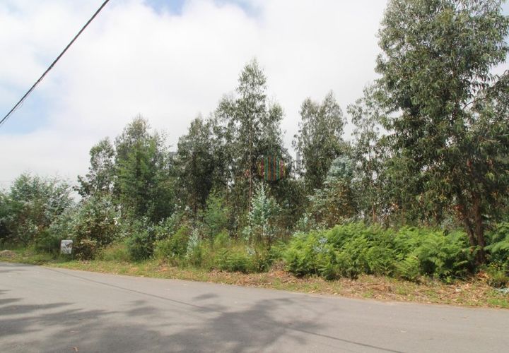 Erhvervsejendom i Agueda, Aveiro, Agueda - € 160.000 | Ref: IMO_180 - foto 1