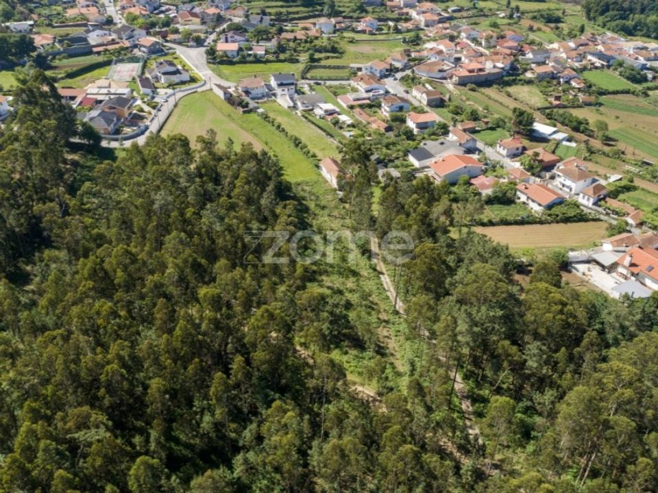 Helårsgrund i Caldas de Sao Jorge, Aveiro - foto 4