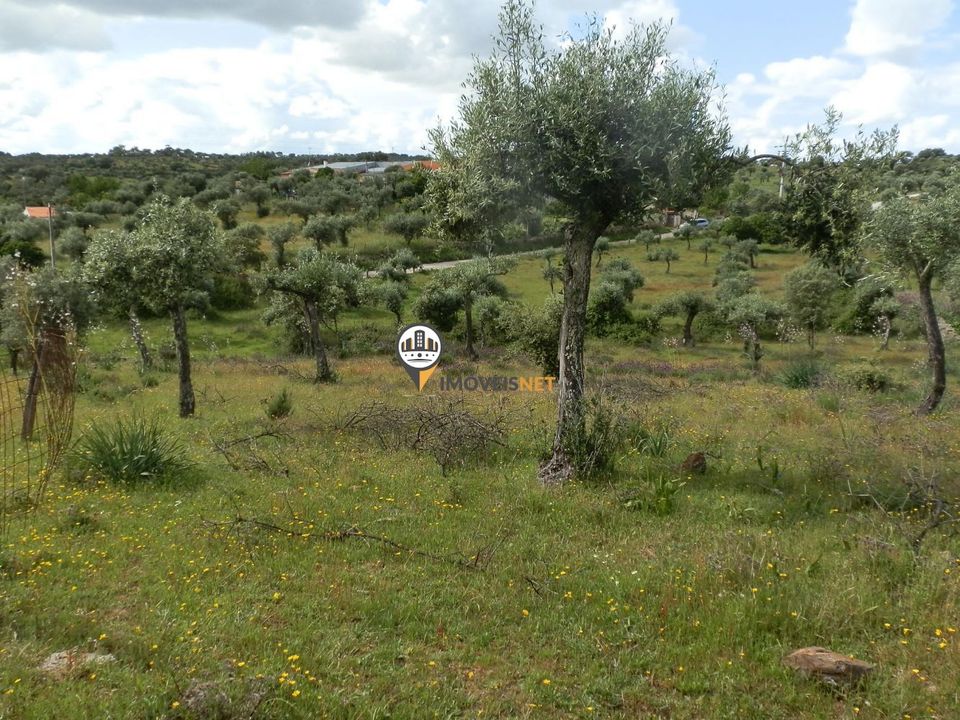 Helårsgrund i Castelo Branco, Castelo Branco - foto 1