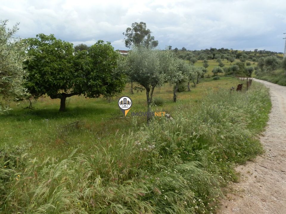 Helårsgrund i Castelo Branco, Castelo Branco - foto 4