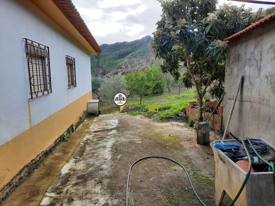 Terra em Proenca-a-Nova, Castelo Branco - foto 1