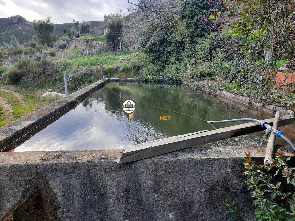 Terra em Proenca-a-Nova, Castelo Branco - foto 4