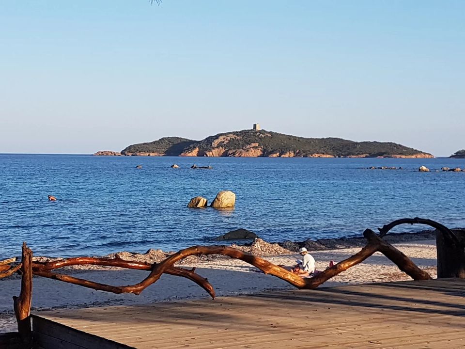 Landejendom i Sainte-Lucie de Porto-Vecchio, Corse-du-Sud - foto 3