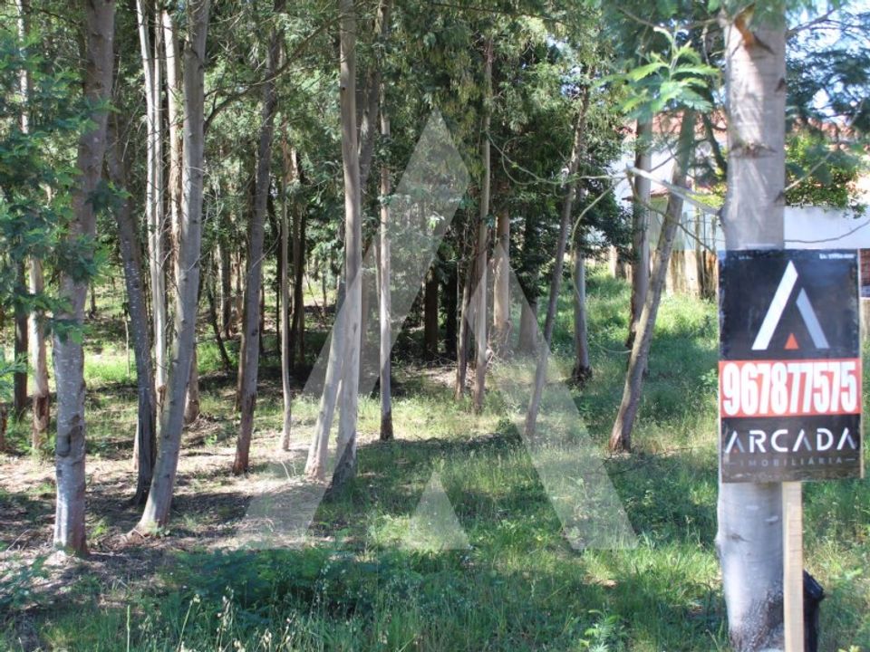 Helårsgrund i Macinhata do Vouga, Aveiro - foto 3