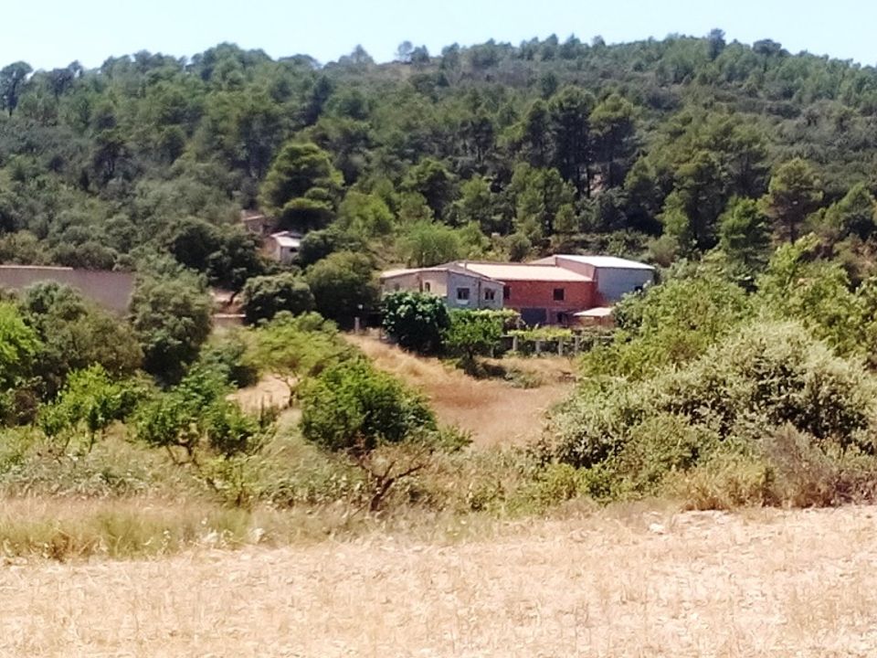 Finca i Penaguila, Alicante - bilde 3
