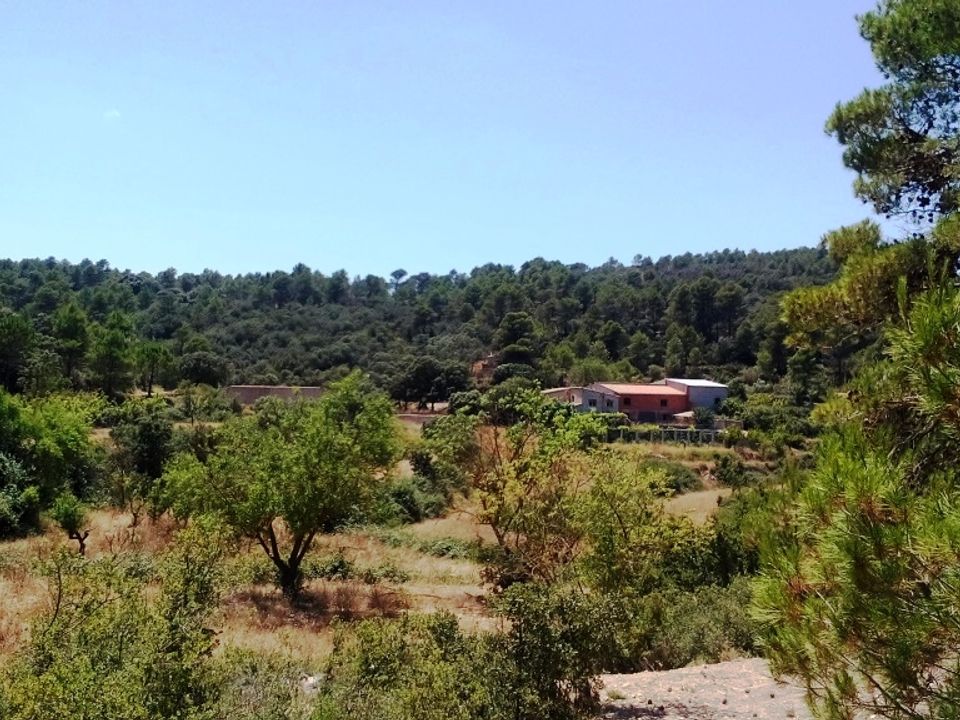 Finca i Penaguila, Alicante - bilde 2
