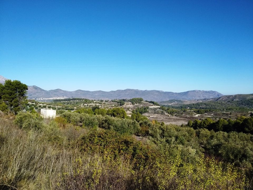 Tomt i Benillup, Alicante - bilde 1