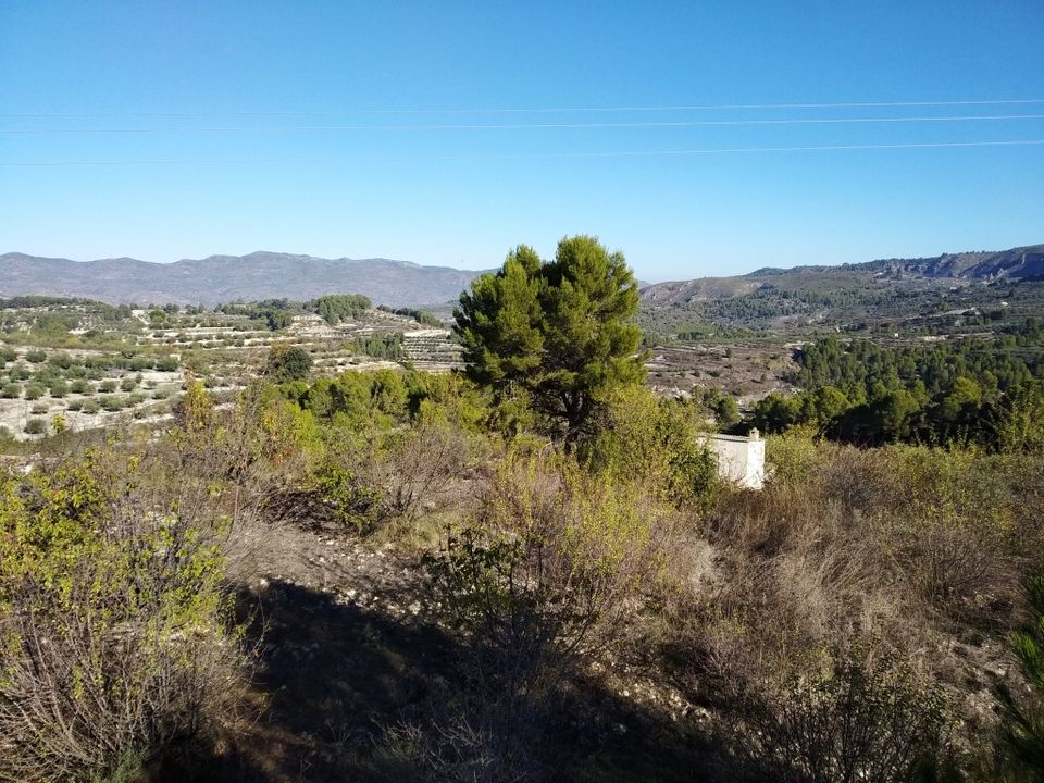 Tomt i Benillup, Alicante - bilde 2