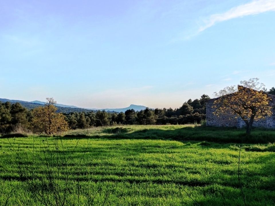 Finca i Bocairent, Valencia - foto 2