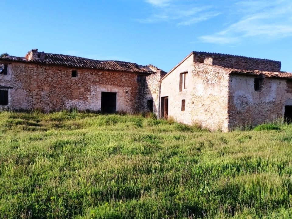 Finca i Bocairent, Valencia - foto 4