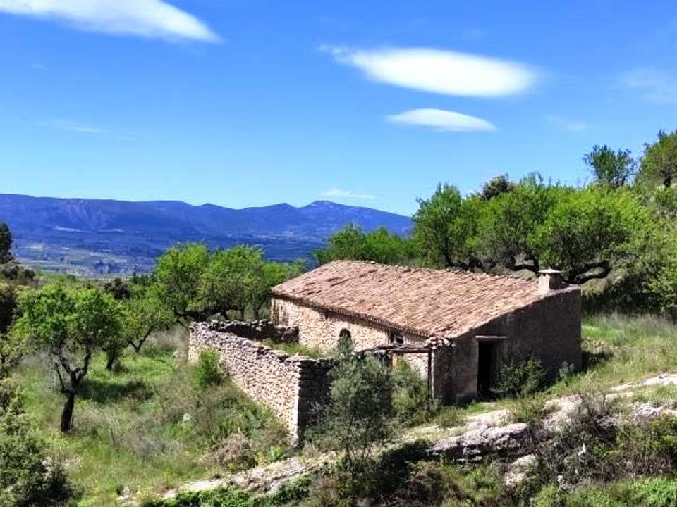 Finca i Benasau, Alicante - bilde 2