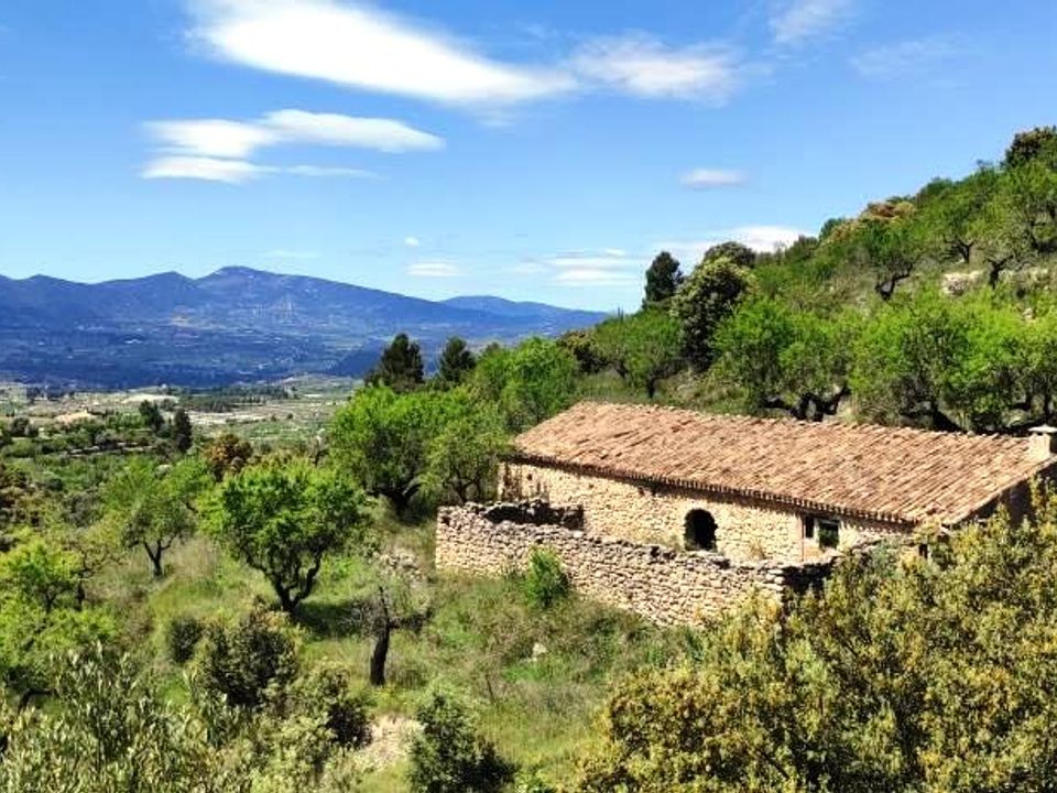 Finca i Benasau, Alicante - bilde 1