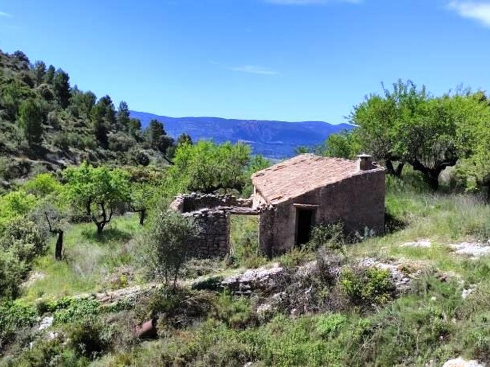 Finca i Benasau, Alicante - bilde 4