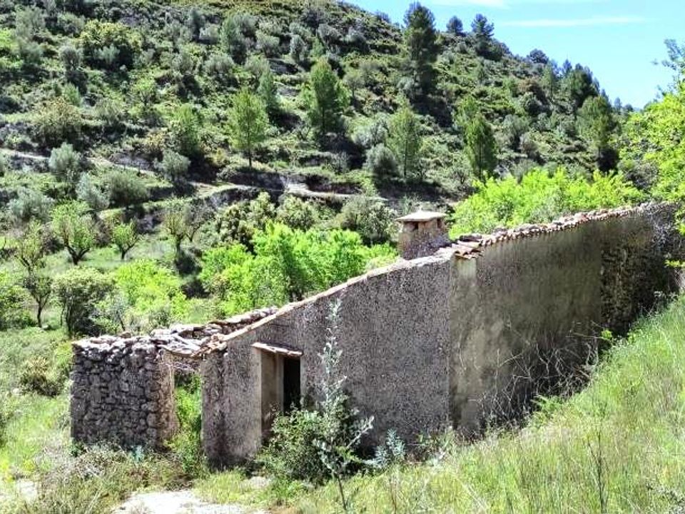 Finca i Benasau, Alicante - bilde 5