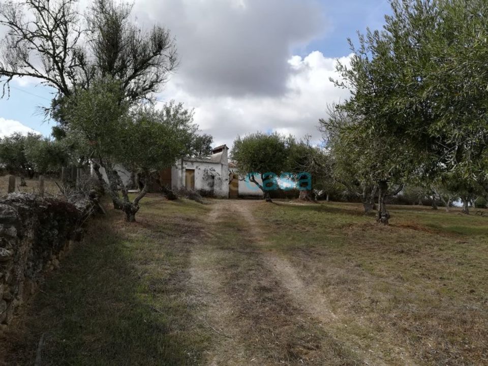 Helårsgrund i Nisa, Portalegre - foto 1