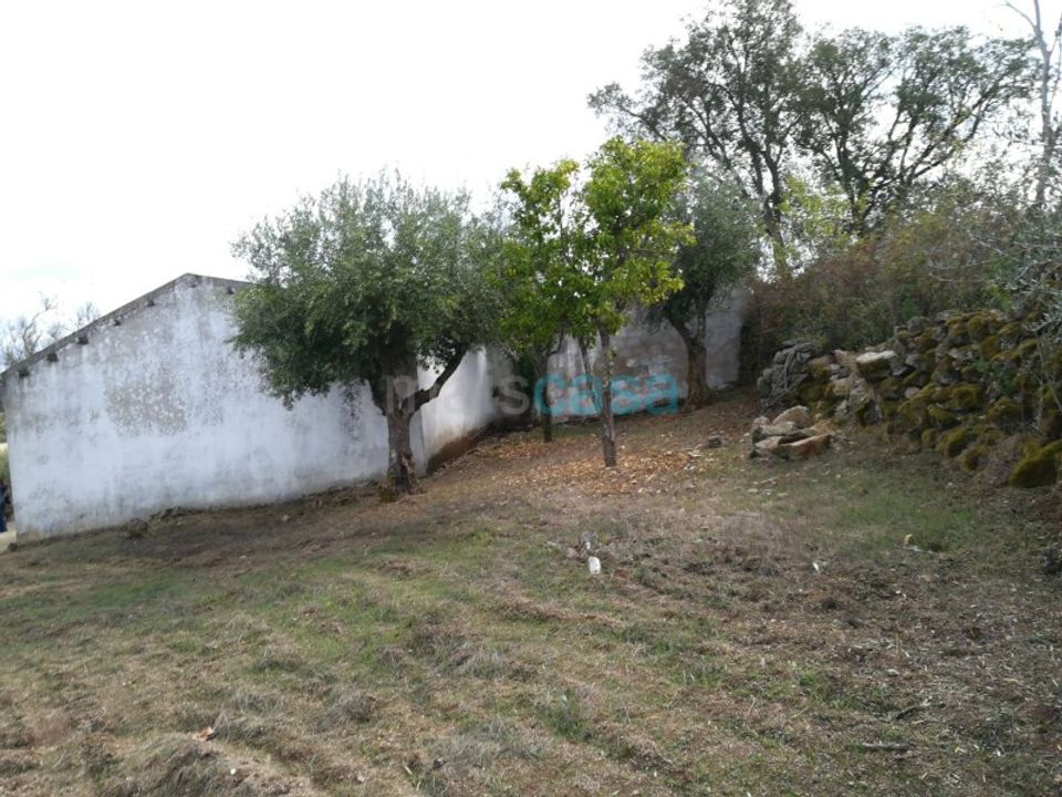 Helårsgrund i Nisa, Portalegre - foto 2