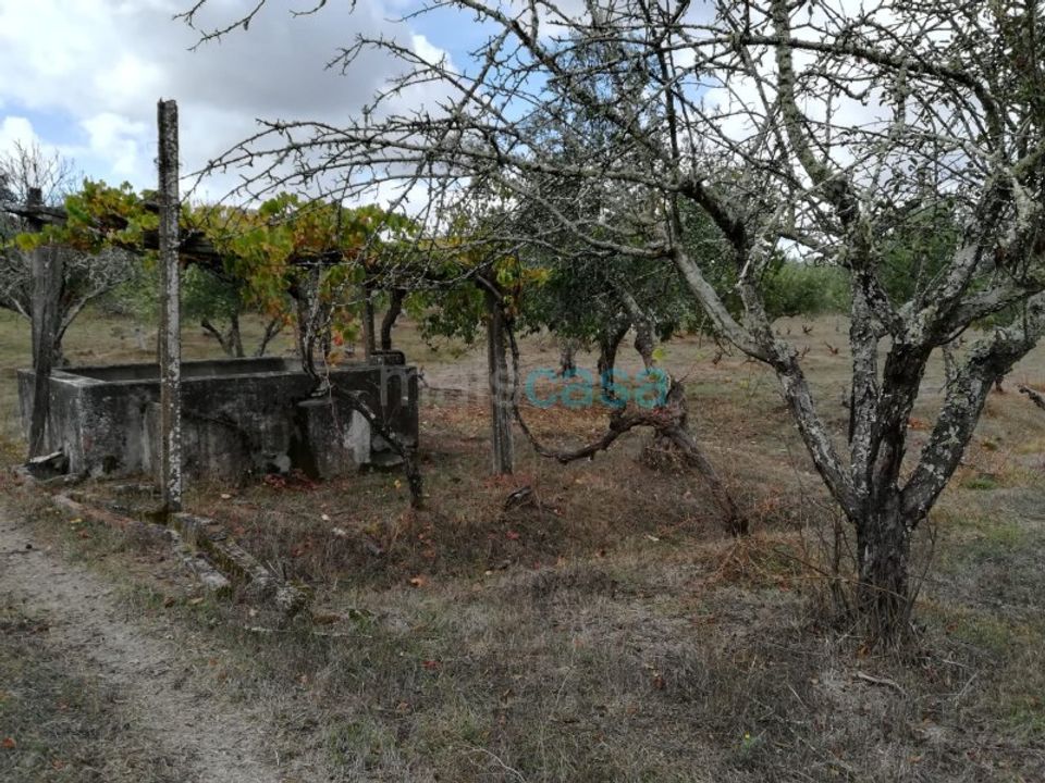 Helårsgrund i Nisa, Portalegre - foto 3