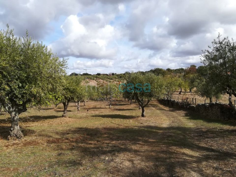 Helårsgrund i Nisa, Portalegre - foto 4