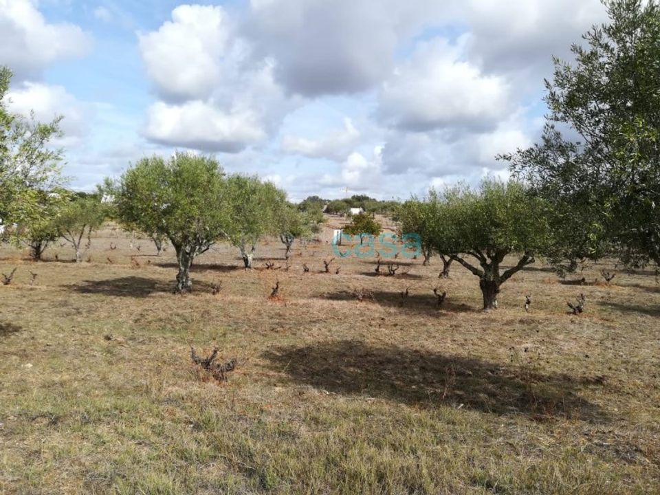 Helårsgrund i Nisa, Portalegre - foto 5