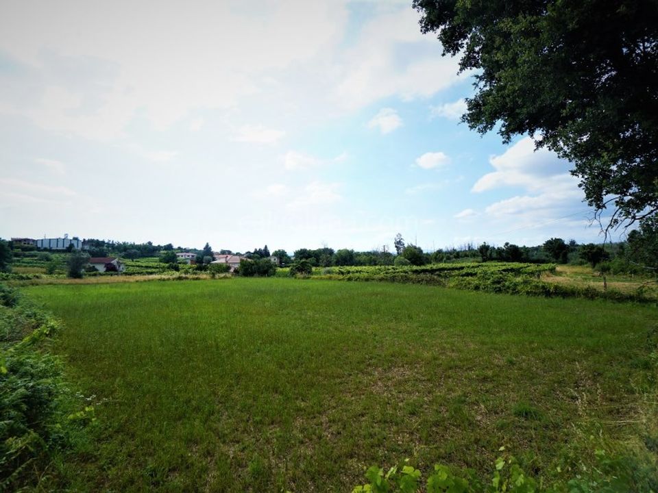Tomt i Bela, Viana do Castelo - bilde 5