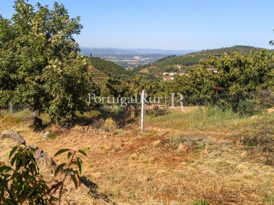 Helårsgrund i Alcongosta, Castelo Branco - foto 2
