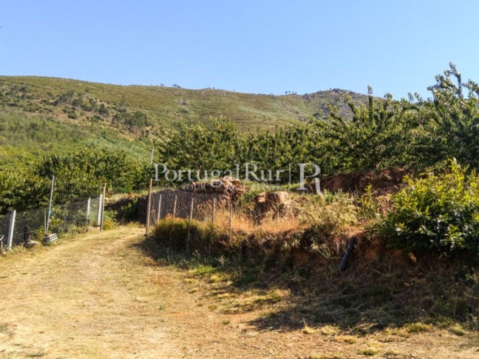 Helårsgrund i Alcongosta, Castelo Branco - foto 4