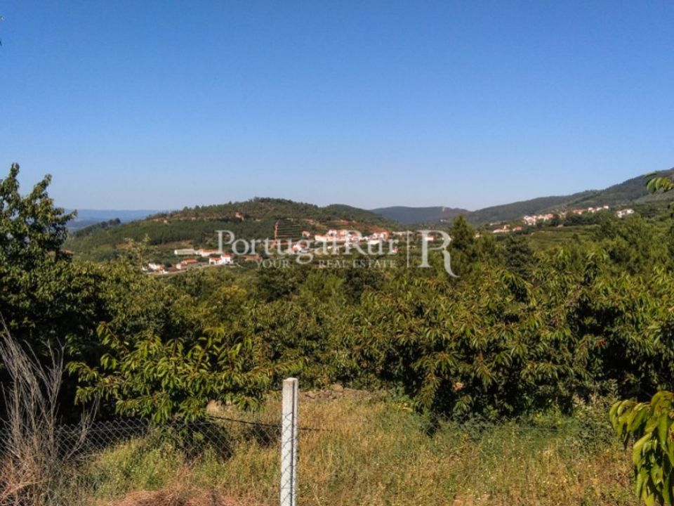 Helårsgrund i Alcongosta, Castelo Branco - foto 5