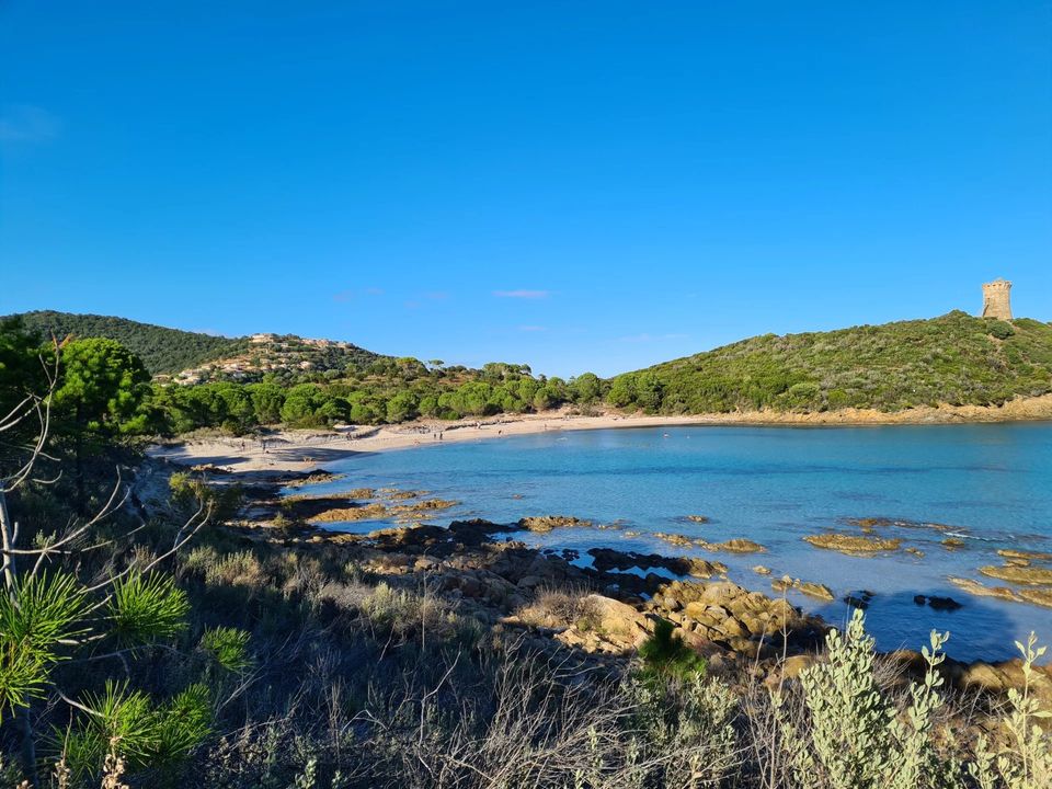 Lejlighed i Sainte-Lucie de Porto-Vecchio, Corse-du-Sud - foto 3