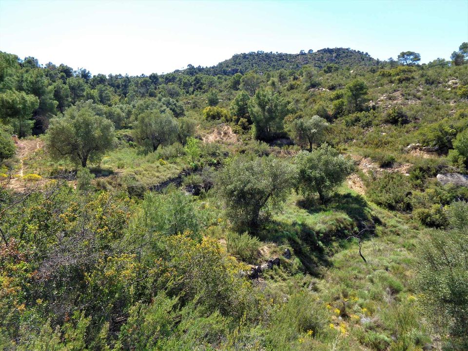 Finca i Maella, Zaragoza - bilde 5