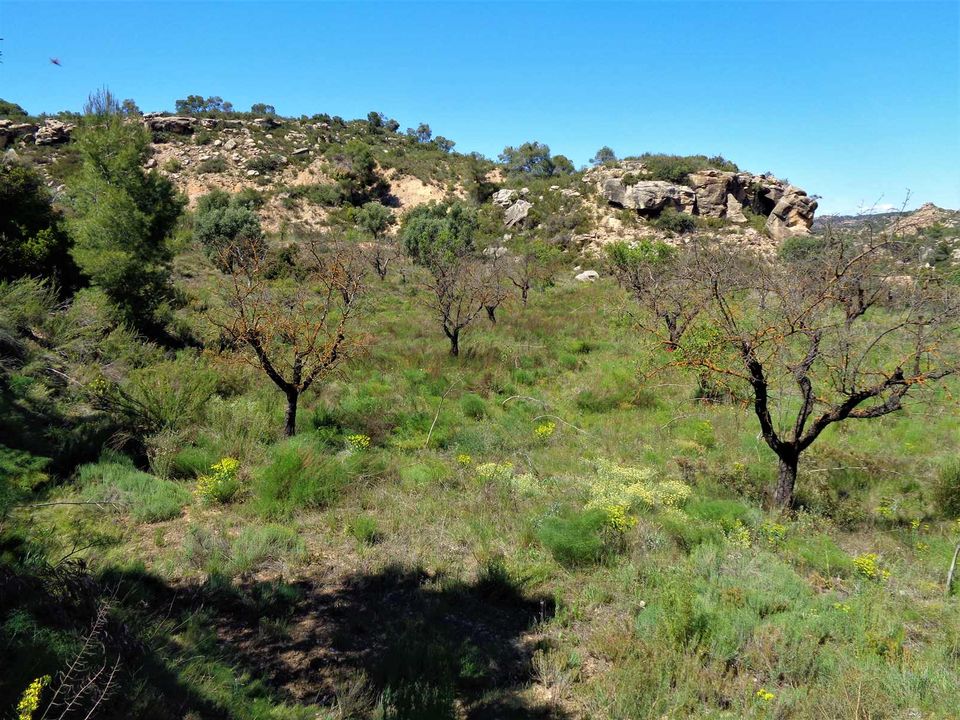 Finca i Maella, Zaragoza - bilde 2