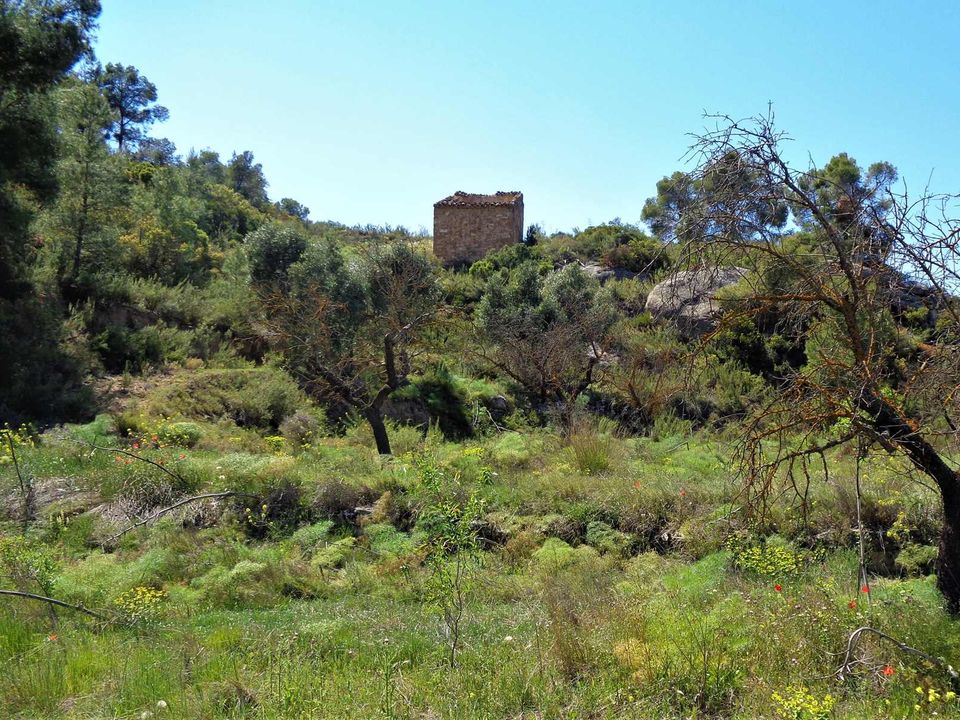 Finca i Maella, Zaragoza - bilde 3
