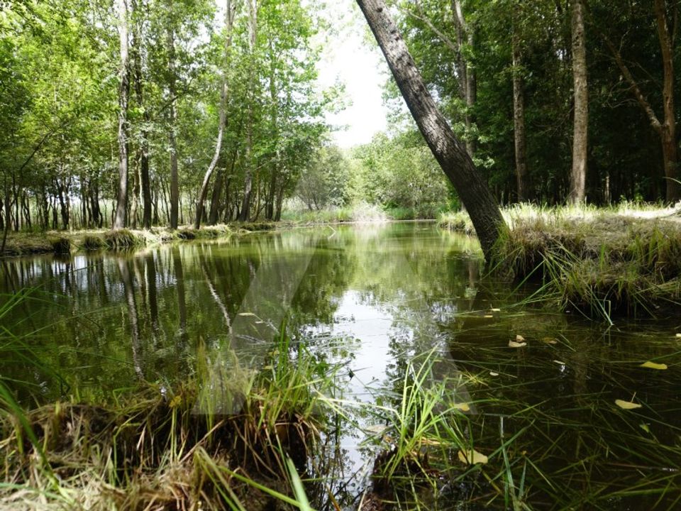 Helårsgrund i Eixo e Eirol, Aveiro - foto 1
