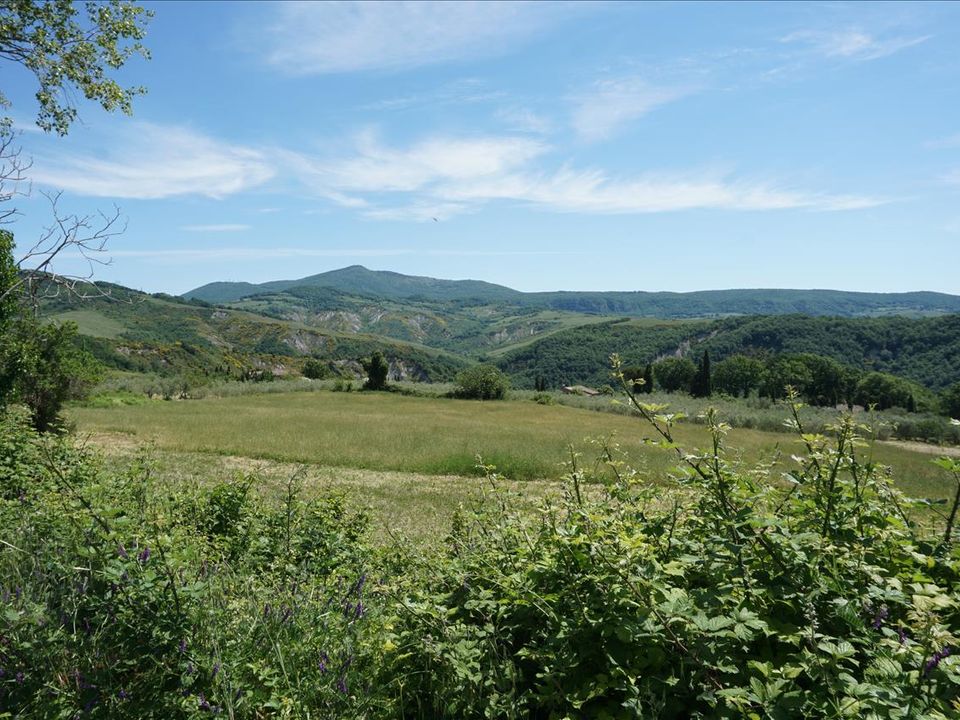 Farm hus i Radicofani, Siena - foto 4