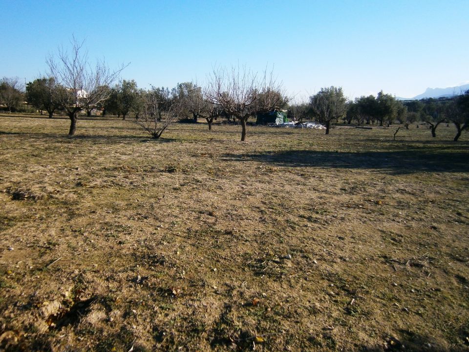 Helårsgrund i Agullent, Valencia - foto 4