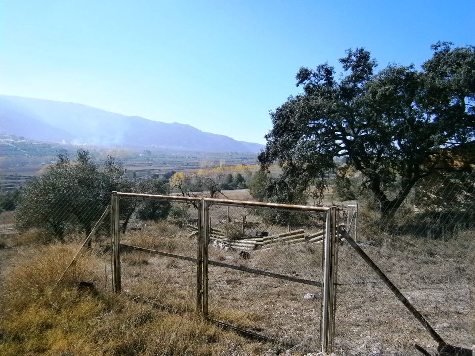 Finca i Agres, Alicante - foto 4
