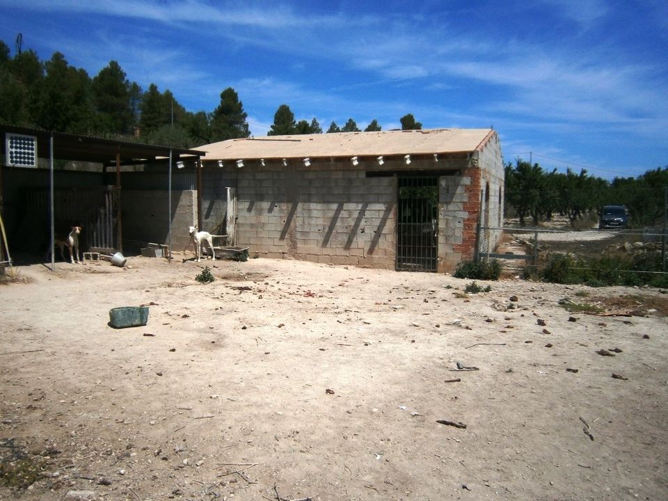 Herregård i Penaguila, Alicante - bilde 4