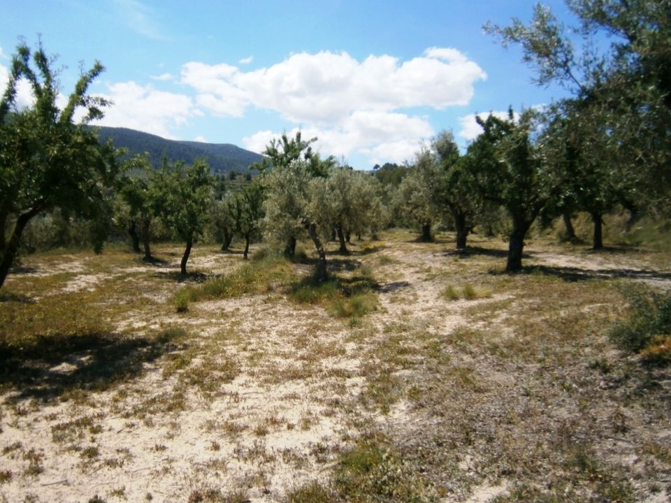 Herregård i Penaguila, Alicante - bilde 5