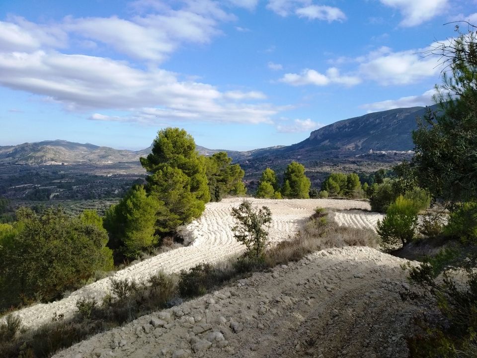 Tomt i Benillup, Alicante - bilde 2