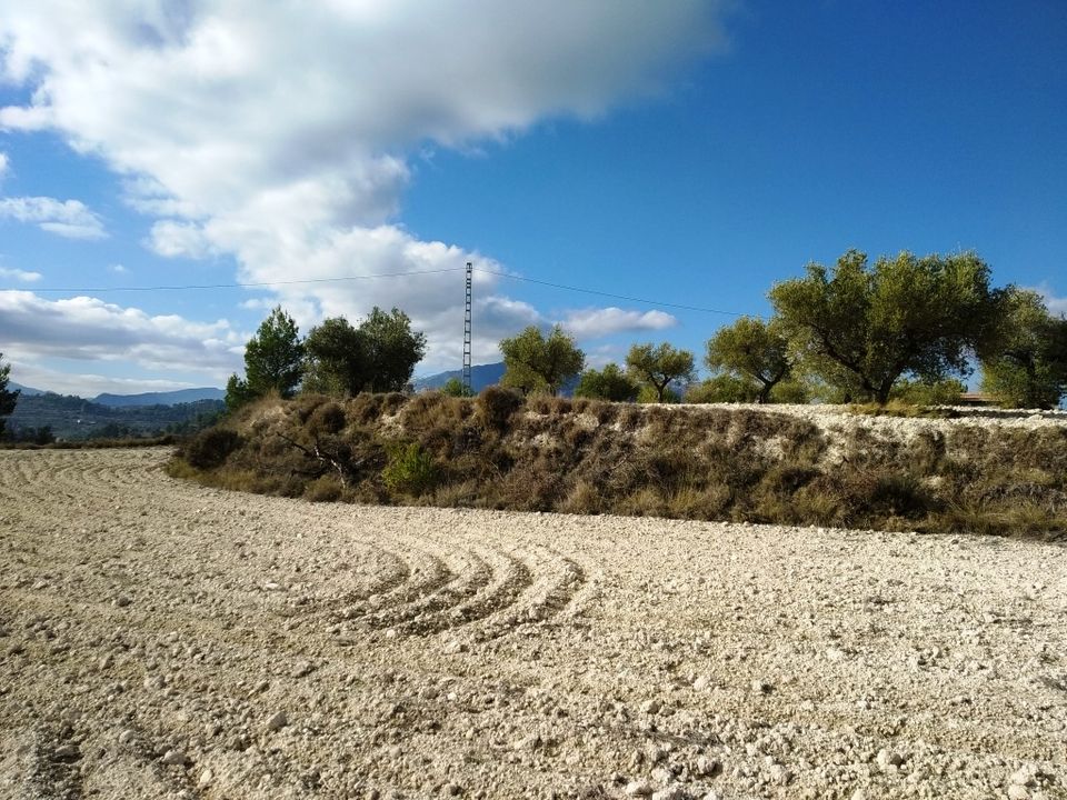 Tomt i Benillup, Alicante - bilde 3