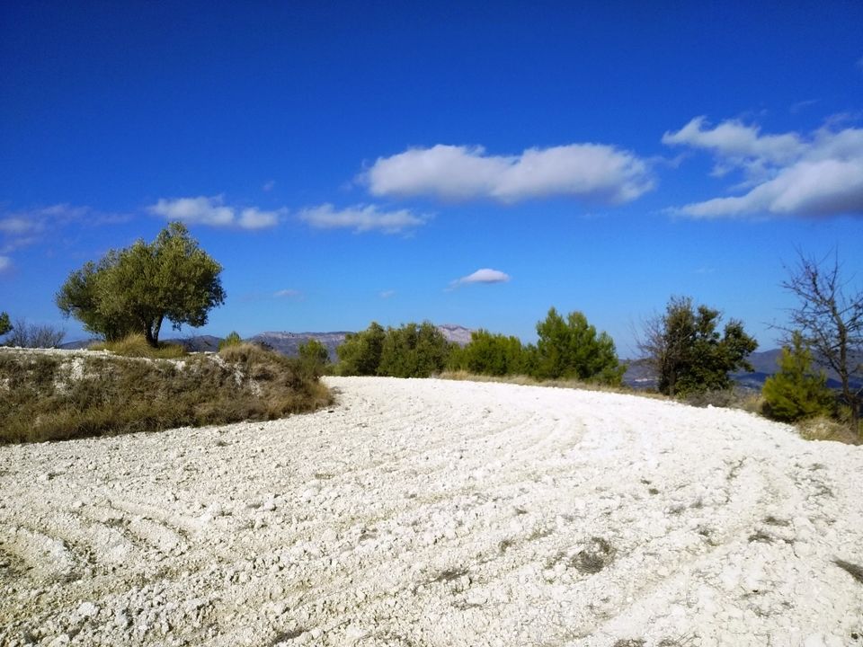 Tomt i Benillup, Alicante - bilde 4
