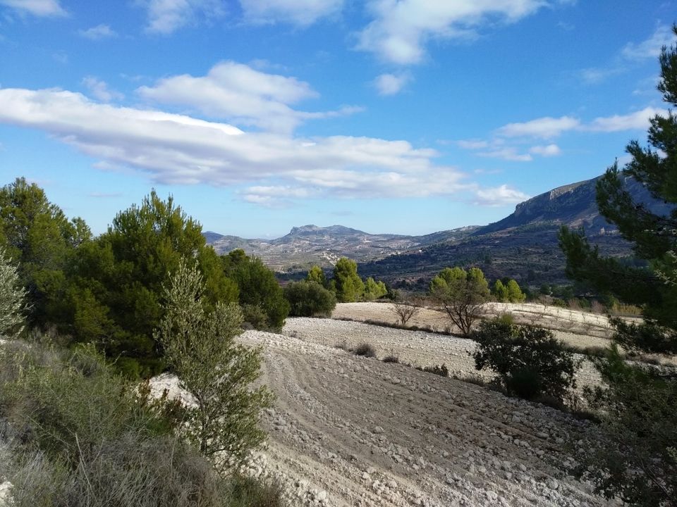 Tomt i Benillup, Alicante - bilde 5