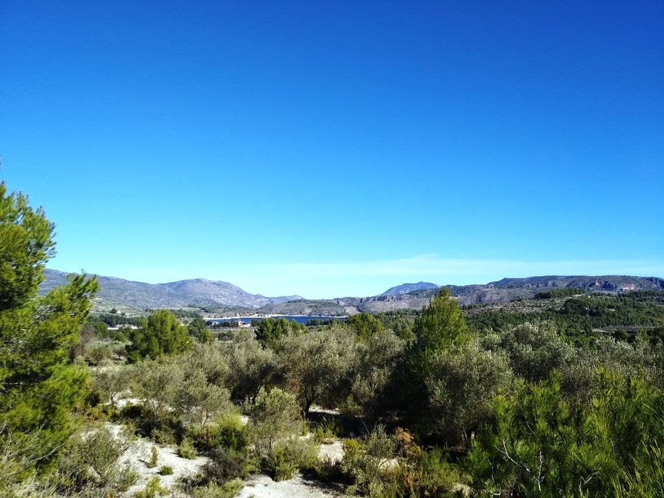 Tomt i Benimarfull, Alicante - bilde 1