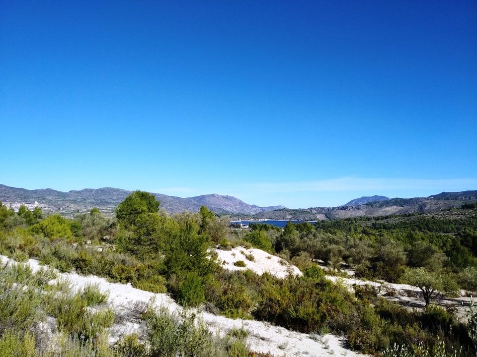 Tomt i Benimarfull, Alicante - bilde 2